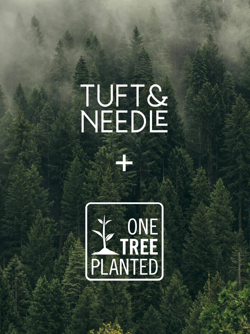 For every purchase that was made between 11/29/21 and 12/4/21, we planted a tree. Together, we're helped rebuild forests.