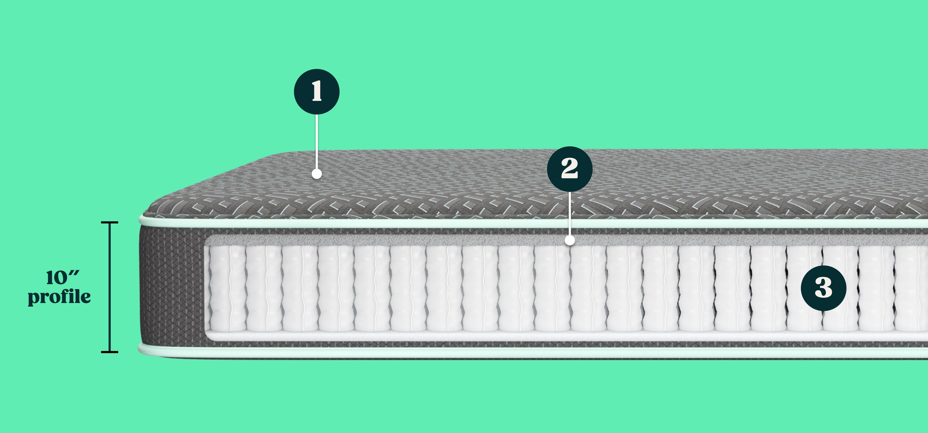 A Graphic  of a Tuft and Needle mattress showing the height of the insides.